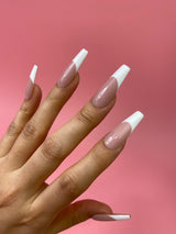 Ready to Ship Now- Timeless White French Press On Nails, C-Curve Long Coffin, Size XS, S, M, L